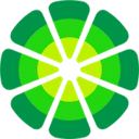LimeWire Token