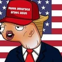 maek amuraca graet agun