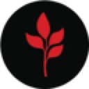MarsMi