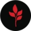 MarsMi