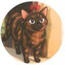 Satoshi's Cat