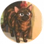 Satoshi's Cat
