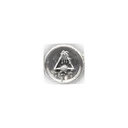 Non Human Intelligence