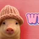pig wif hat