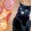 Pizza Cat