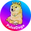 PulseDogecoin