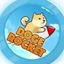 DOGE ROCKET