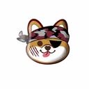 Rogue Doge