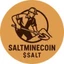 SALTMINECOIN