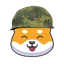 Shib Army
