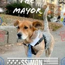 Simon for NYC  dog Mayor