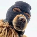 Ski Mask Dog