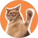 CatSlap