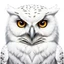 Snowy Owl 