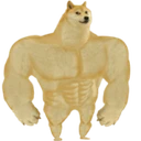 Swole Doge