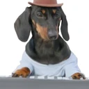 Synthesizer Dog