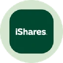 iShares 20+ Year Treasury Bond Tokenized ETF (Ondo)