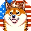 Doge for President