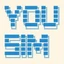 YouSim